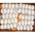 2015 New Crop Small Mesh Bag Packing Pure White Garlic